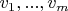 $v_1, ..., v_m$