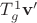 $T^1_g \mathbf v'$