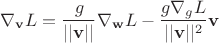 $$\nabla_{\bold{v}} L = \dfrac{g}{||\bold{v}||} \nabla_{\bold{w}} L - \dfrac{g\nabla_{g} L}{||\bold{v}||^2} \bold{v}$$
