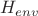 $H_{env}$