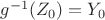 $g^{-1}(Z_0)=Y_0$