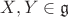 $X,Y\in\mathfrak{g}$ $X,Y\in\mathfrak{g}$