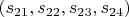 $(s_{21}, s_{22}, s_{23}, s_{24})$