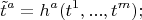 $$
\tilde{t}^a = h^{a} (t^1, ... , t^m);
$$