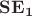 $\mathbf{SE_{1}}$