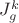 $J^k_g$