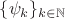 $\{\psi_k\}_{k\in\mathbb{N}}$