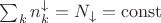 $\sum_k n_k^{\downarrow} = N_{\downarrow} =  \operatorname{const}$