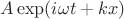 $A \exp(i \omega t + kx)$