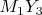 ${M_1}{Y_3}$