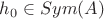 $h_0 \in Sym(A)$ $h_0 \in Sym(A)$
