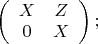 $\left(
  \begin{array}{cc}
    X & Z \\
    0 & X \\
  \end{array} 
\right); ~~~ $