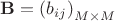 $\mathbf{B}=\left(b_{ij}\right)_{M\times M}$