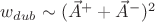 $w_{dub}\sim(\vec{A}^++\vec{A}^-)^2$