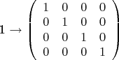 1 \rightarrow 
\left( \begin{array}{cccc}
1 & 0 & 0 & 0 \\
0 & 1 & 0 & 0 \\
0 & 0 & 1 & 0 \\
0 & 0 & 0 & 1 
\end{array} \right)