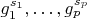 $g^{s_1}_1,\ldots,g^{s_p}_p$