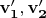 $\mathbf{v_1', v_2'}$