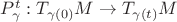 $P^t_\gamma:T_{\gamma(0)}M\to T_{\gamma(t)}M$