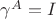 $\gamma^{A} = I$