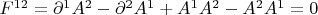 $F^{12}=\partial^1A^2-\partial^2A^1+A^1A^2-A^2A^1=0$