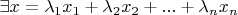 $\exists  x = \lambda_{1}x_{1} + \lambda_{2}x_{2} + ... +  \lambda_{n}x_{n}$