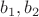 $b_{1},b_{2}$