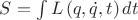 $S=\int L\left(q,\dot{q},t\right)dt$