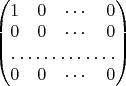 $\begin{pmatrix}
1 & 0 & \cdots & 0 \\
0 & 0 & \cdots & 0 \\
\hdotsfor{4} \\
0 & 0 & \cdots & 0
\end{pmatrix}
$