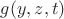 $g(y,z,t)$