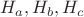 $H_{a}, H_{b}, H_{c}$