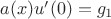 $a(x) u'(0)=g_1$