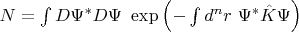 $N=\int D\Psi ^{*} D\Psi \ \exp\left( -\int d^{n} r\ \Psi ^{*}\hat{K} \Psi \right)$