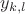$y_{k,l}$