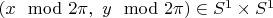 $(x \mod 2\pi, ~y \mod 2\pi) \in S^1 \times S^1$