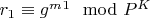 $r_1\equiv g^m^1\mod P^K$