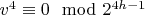$v^4\equiv 0 \mod 2^{4h-1}$