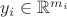 $y_i \in \mathbb{R}^{m_i}$