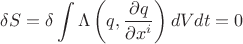 $$\delta S=\delta \int \Lambda \left (q, \frac{\partial q}{\partial x^i}\right ) dV dt =0$$