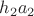 $h_2a_2$