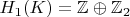 $H_1(K)=\mathbb{Z}\oplus \mathbb{Z}_2$