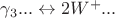 $\gamma_3... \leftrightarrow 2W^+...$