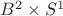 $B^2\times S^1$
