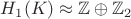 $H_1(K)\approx \mathbb{Z} \oplus \mathbb{Z}_2$