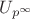 $U_{p^\infty}$