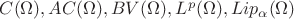 $C(\Omega), AC(\Omega),BV(\Omega),L^p(\Omega), Lip_\alpha(\Omega)$