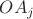 $OA_j$