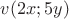 $v(2x;5y)$