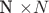 N \times N