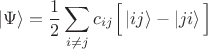 $$
\left| \Psi \right \rangle = \frac{1}{2} \sum \limits_{i \ne j} c_{ij} \Big[ \left| i j \right \rangle - \left| j i \right \rangle \Big]
$$