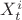 $X_{t}^{i}$